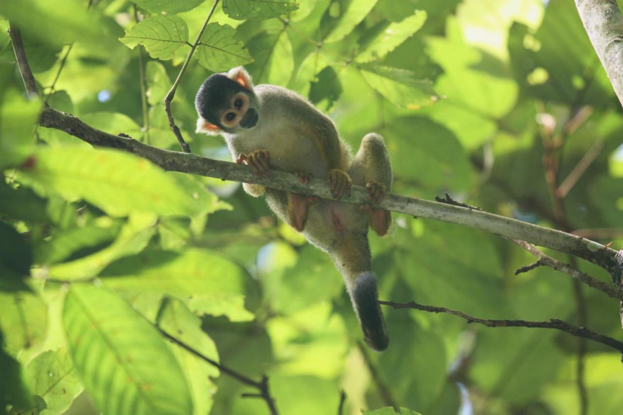 Wasai Tambopata Lodge 외부 사진