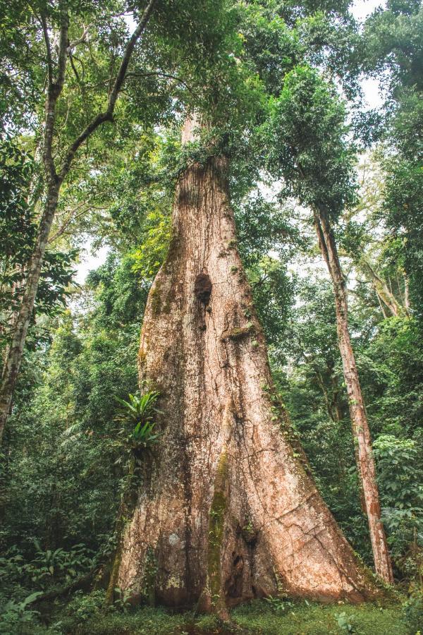 Wasai Tambopata Lodge 외부 사진