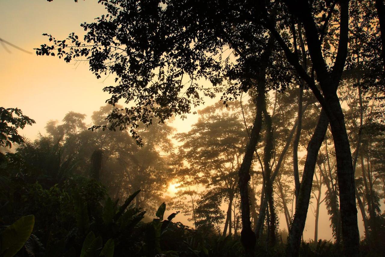 Wasai Tambopata Lodge 외부 사진